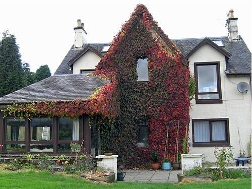 Achnabobane Farmhouse Spean Bridge Zewnętrze zdjęcie